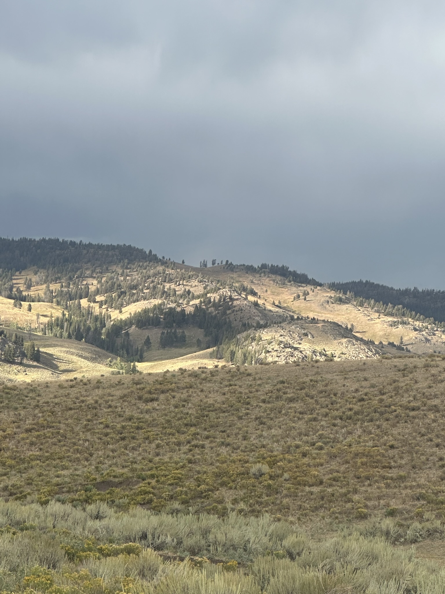 Yellowstone And Grand Teton National Parks - Image 1093